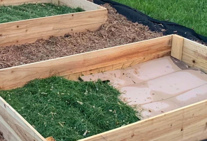 raised bed soil mistakes raised bed soil mistakes