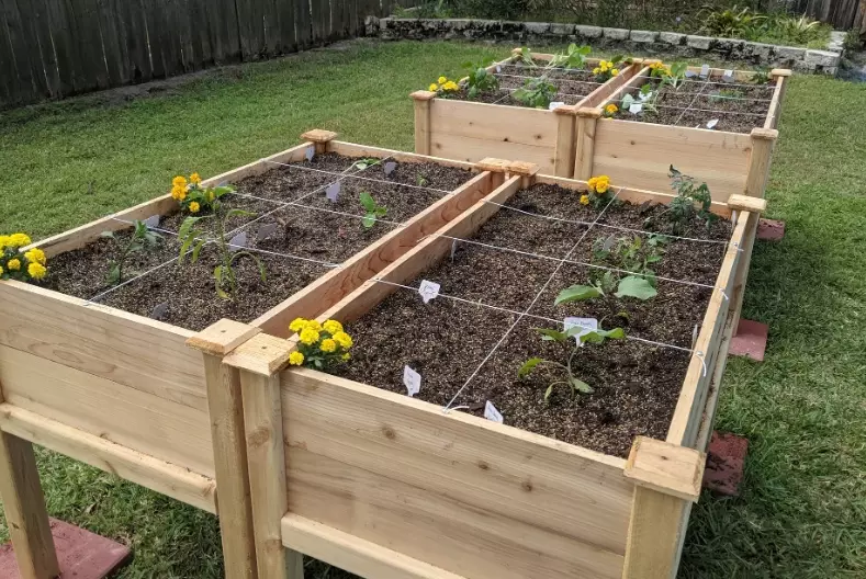 what not to put in raised garden bed what not to put in raised garden bed