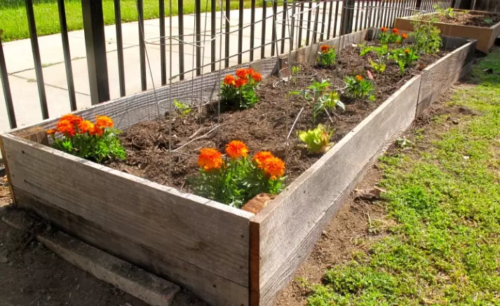 vegetable garden soil mix