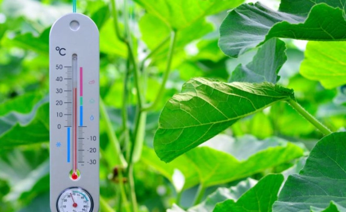 optimal temperature for plants optimal temperature for plants