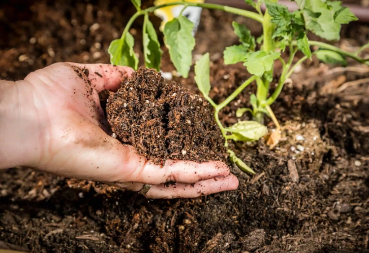 garden soil mix recipe