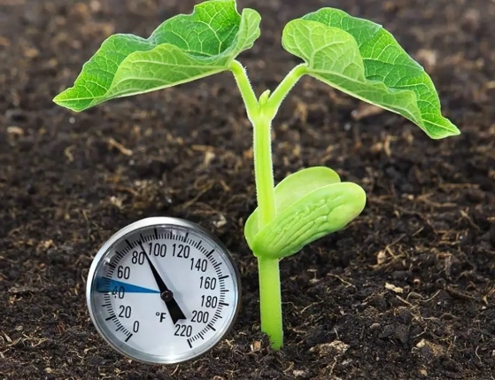 optimal temperature for plants optimal temperature for plants