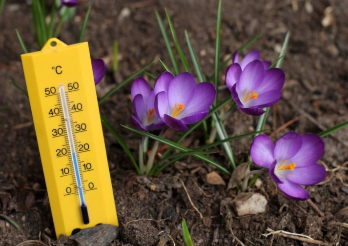 plant temperature range plant temperature range