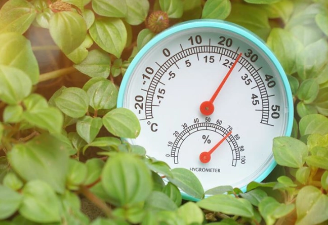 optimal temperature for plants optimal temperature for plants