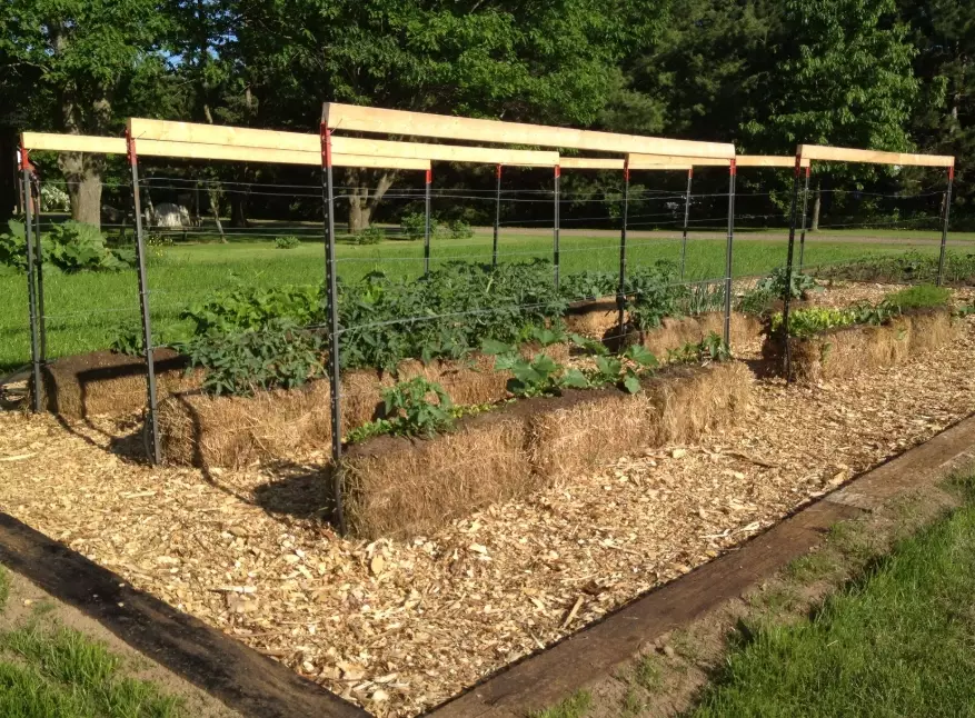 straw bale garden