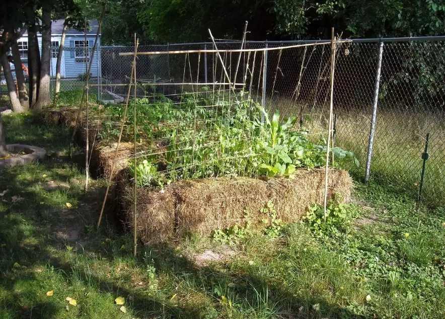 straw bale garden