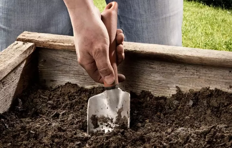 best soil for raised beds