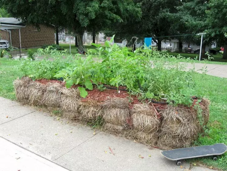 straw bale garden
