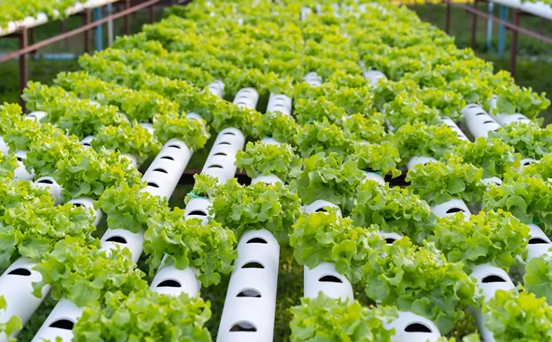 hydroponic gardening systems