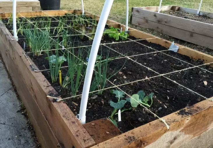 how to fill a raised garden bed