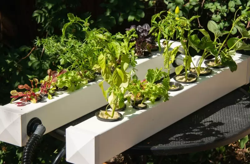 hydroponic gardening systems