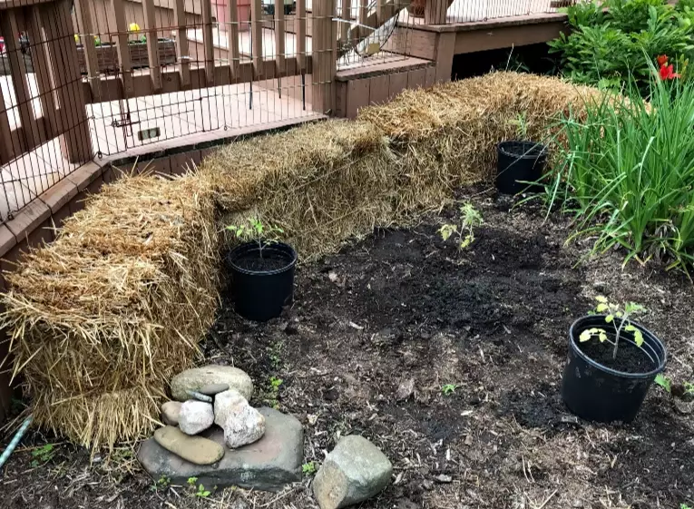 how to start a straw bale garden