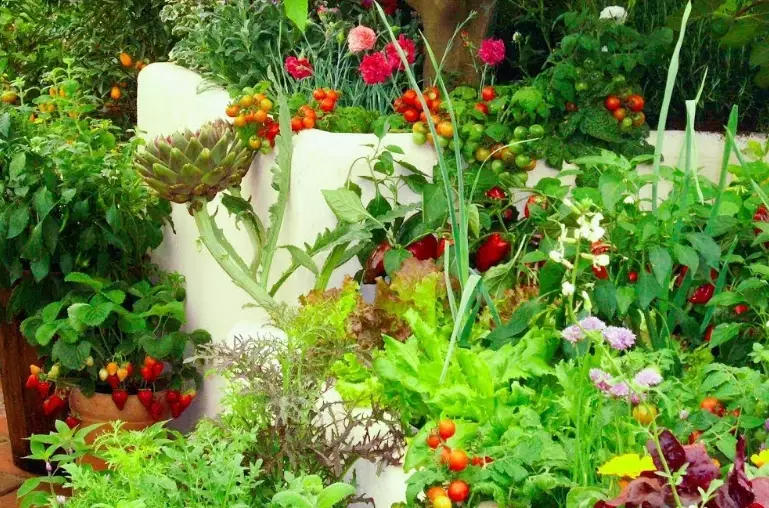 small space gardening