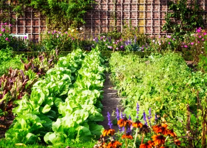 eco-friendly gardening tips