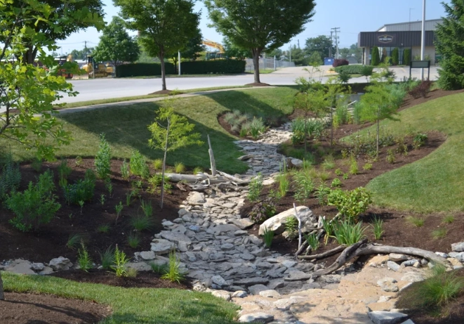 how to build a rain garden