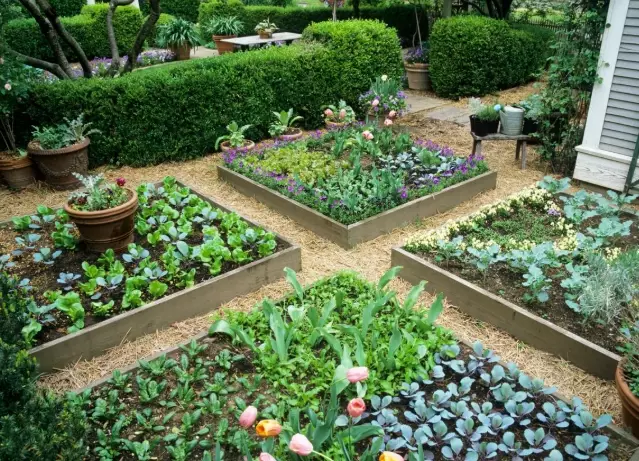 high yield gardening