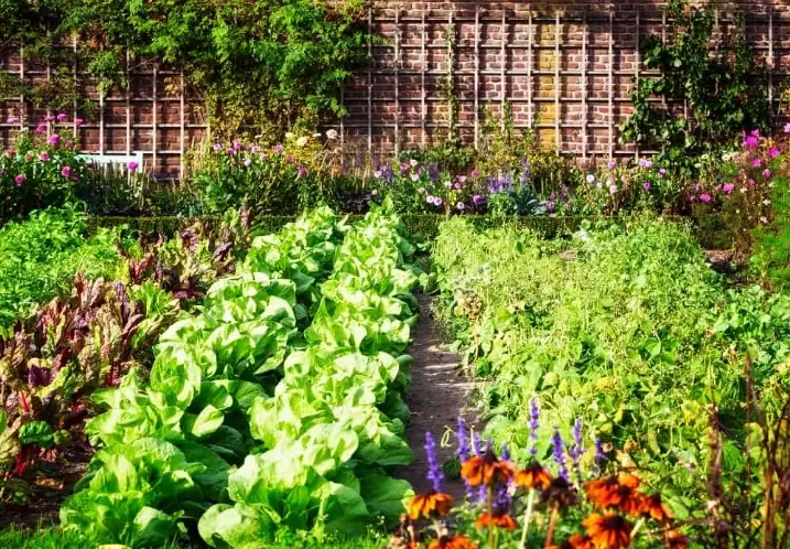 eco-friendly garden design