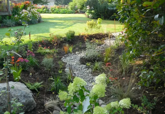 rain garden design