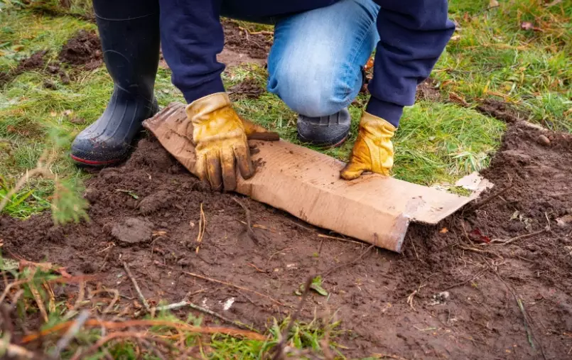 how to start a no-dig garden