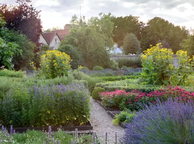 organic gardening for beginners