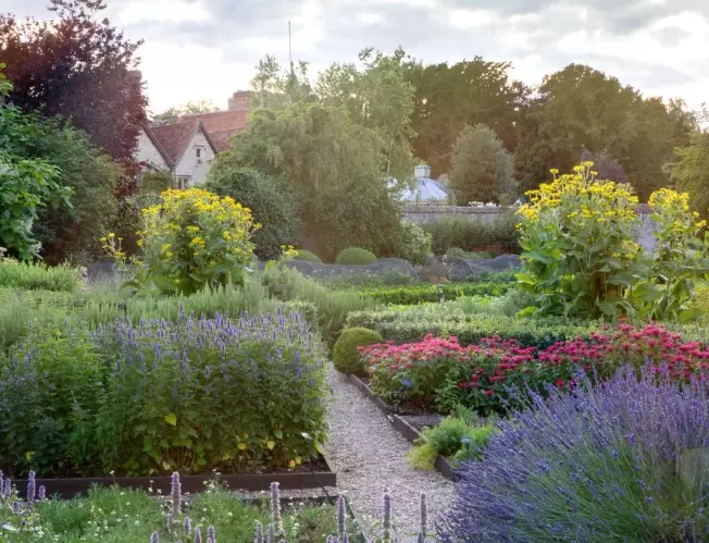 organic gardening tips