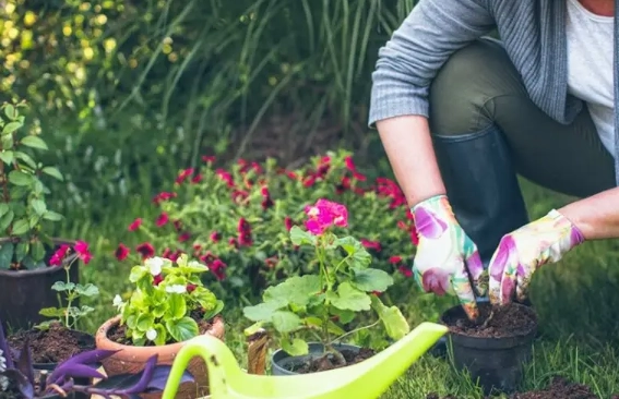 mental health benefits of gardening
