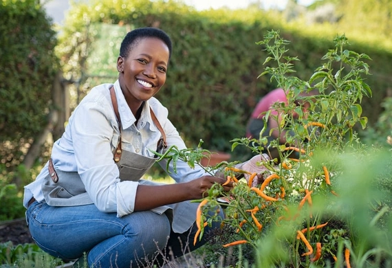 gardening therapy benefits
