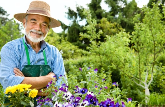 therapeutic gardening