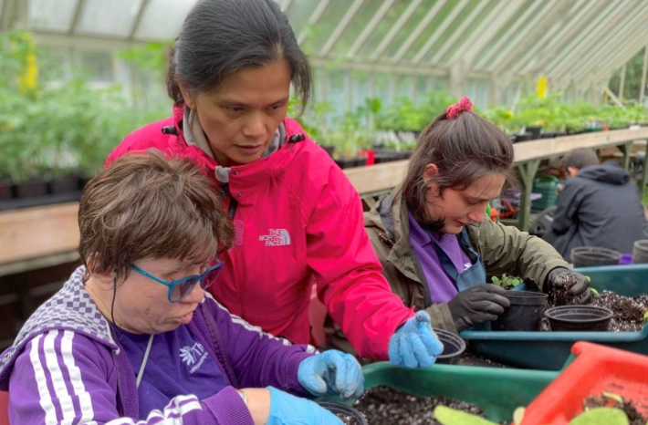 horticultural therapy