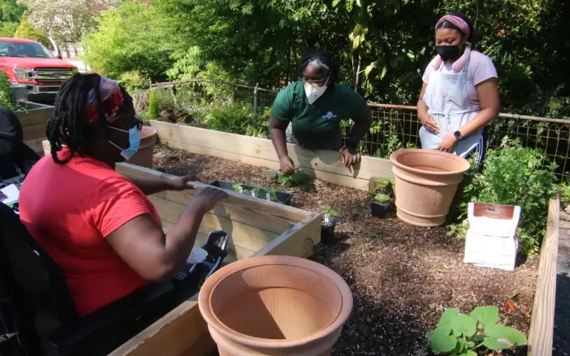 therapeutic gardening