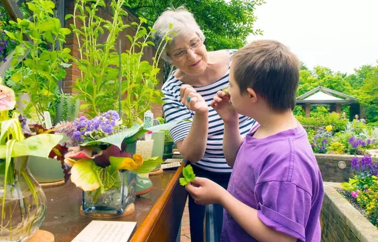 therapeutic gardening