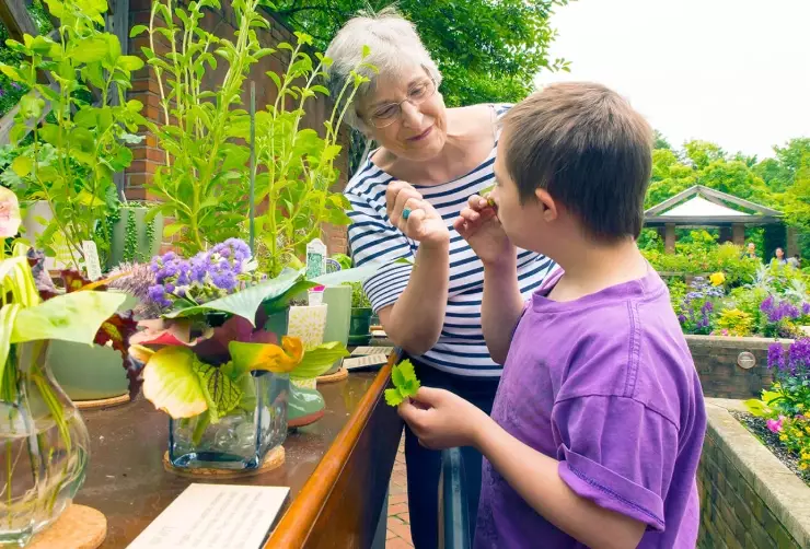 gardening therapy benefits