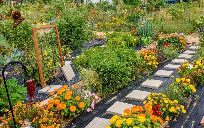 benefits of community gardens