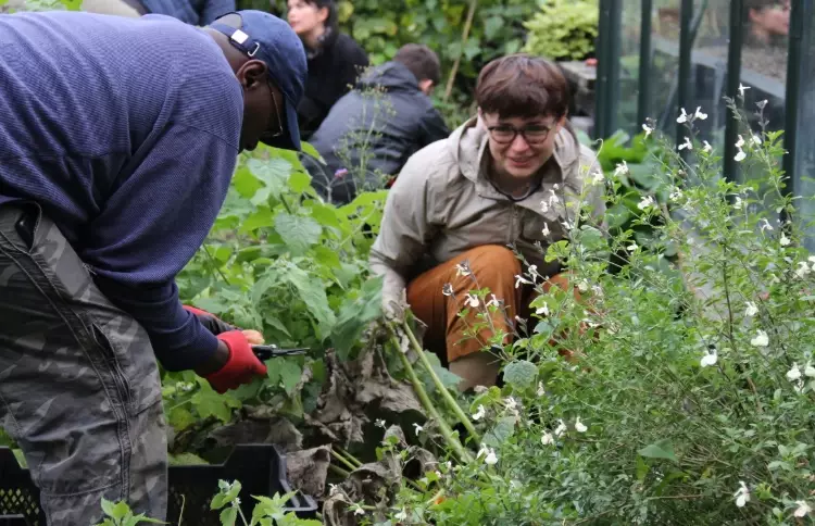 benefits of gardening