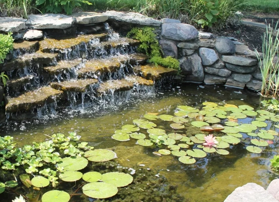 backyard pond ideas