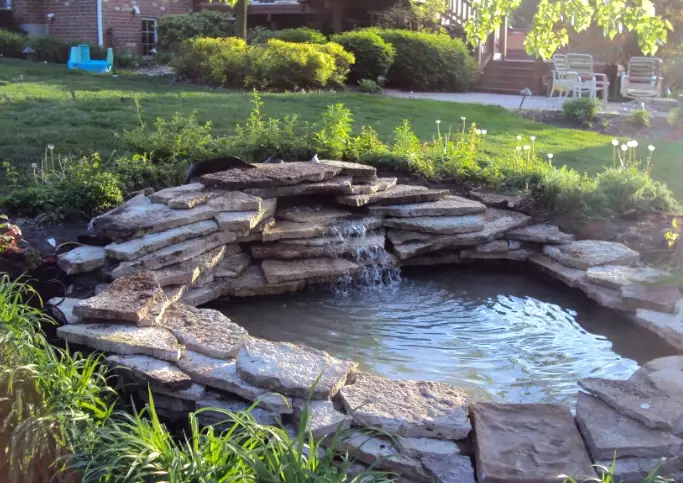 water gardening for beginners