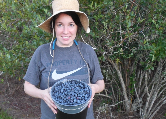 blueberry fertilizer