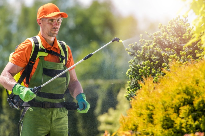 how to get rid of aphids