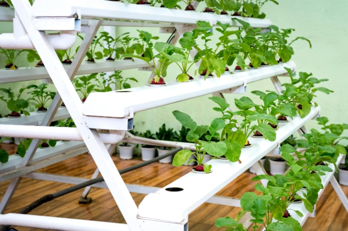 how to start hydroponic gardening