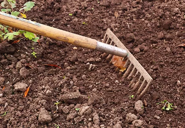 how to prepare soil for planting