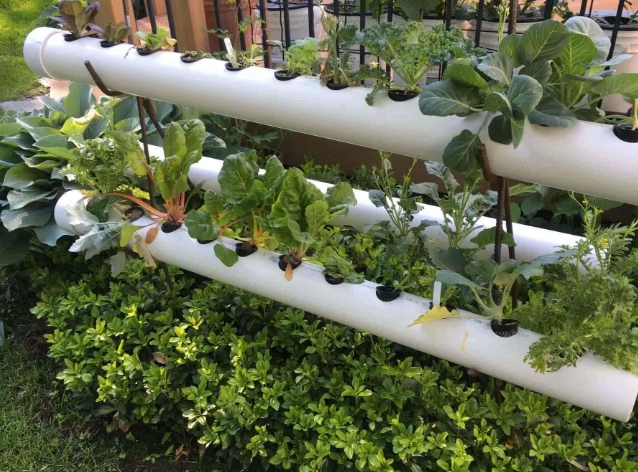 hydroponic systems