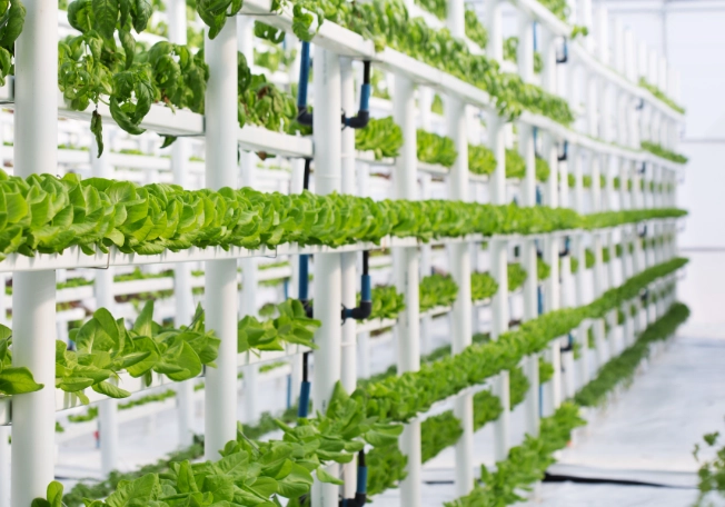 hydroponic systems