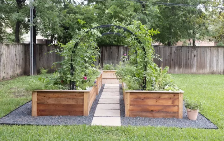 best plants for raised beds best plants for raised beds