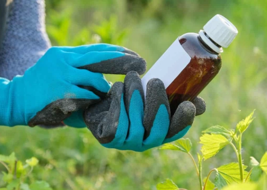 best fertilizer for okra best fertilizer for okra