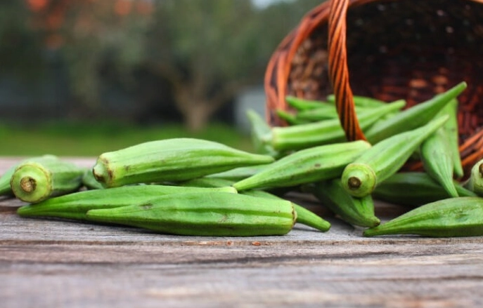 how to fertilize okra how to fertilize okra