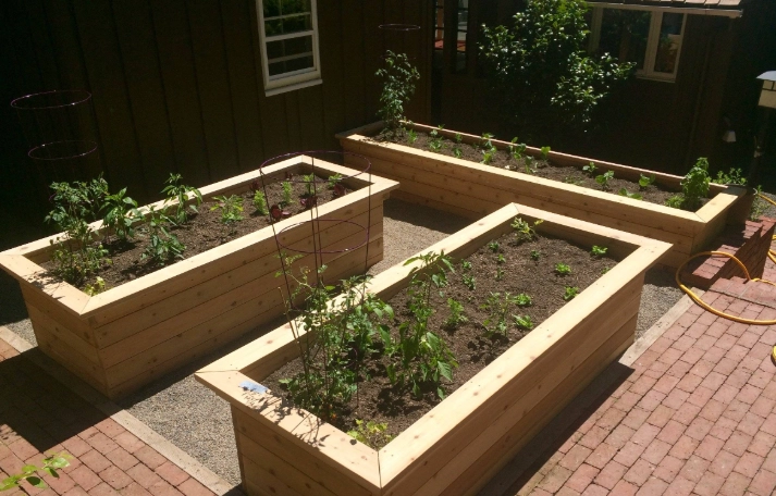 best plants for raised beds best plants for raised beds