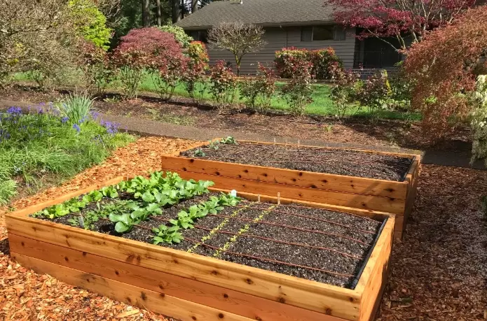 how to build a raised garden bed how to build a raised garden bed