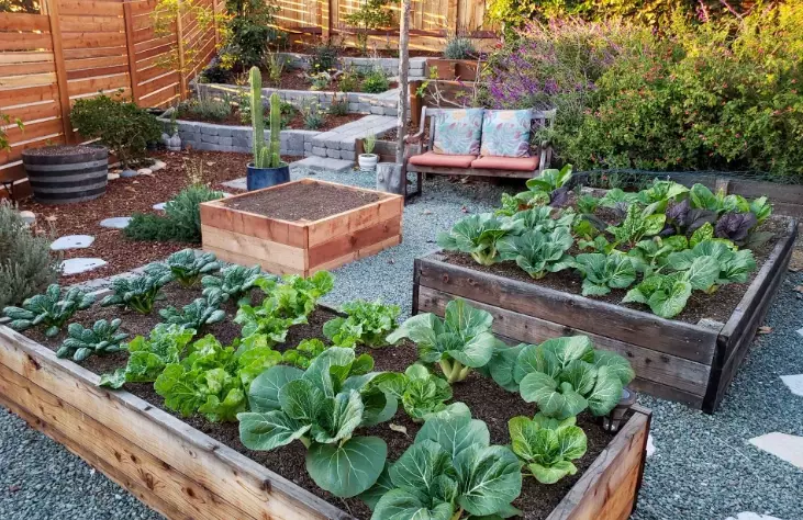 how to build a raised garden bed how to build a raised garden bed