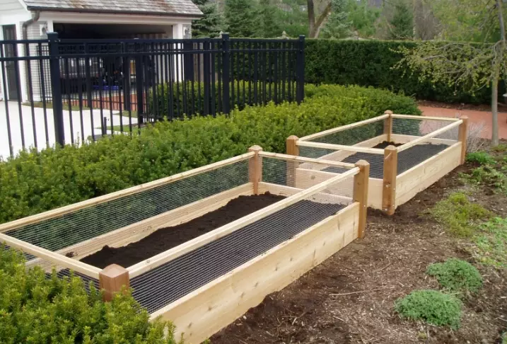 raised bed garden design