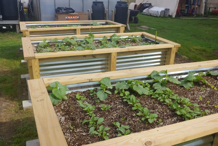 how to build a raised garden bed